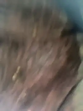 Hot bh64 online show from 10, 4, 2026