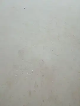 Lyly-68688 online show from 15, 4, 2026