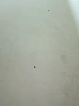 Lyly-68688 online show from 9, 2, 2026