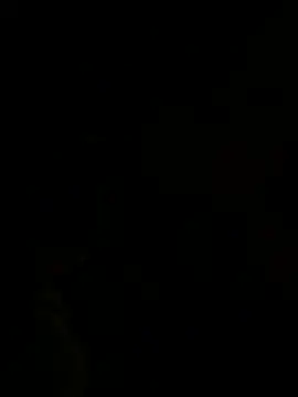 weniza online show from 7, 3, 2026