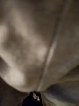 richgood49 online show from 9, 2, 2026