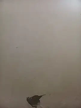 PatriciaVen online show from 5, 2, 2026