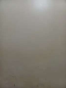 PatriciaVen online show from 4, 2, 2026