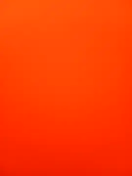 Bee babie online show from 14, 2, 2026