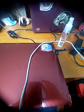 TWOLOVE16 online show from 14, 1, 2026