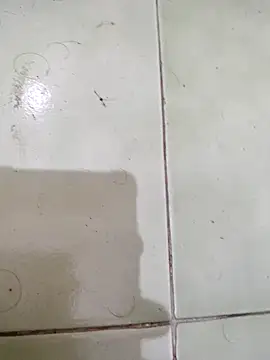 TamilBoy3007 online show from 6, 2, 2026