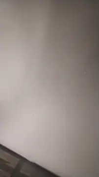 sterng6969 online show from 16, 3, 2026