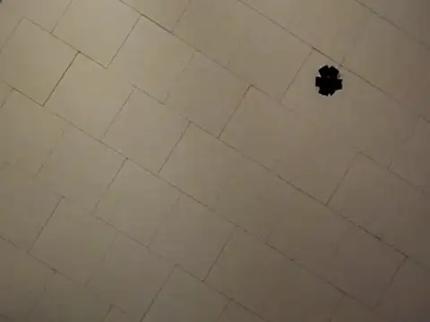 sterng6969 online show from 9, 4, 2026