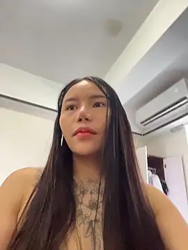 ll aaa online show from 26, 2, 2026