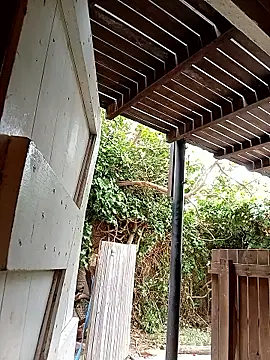 dicklife3485 online show from 24, 2, 2026