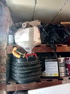 dicklife3485 online show from 14, 3, 2026