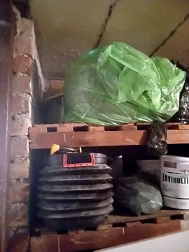 dicklife3485 online show from 1, 4, 2026