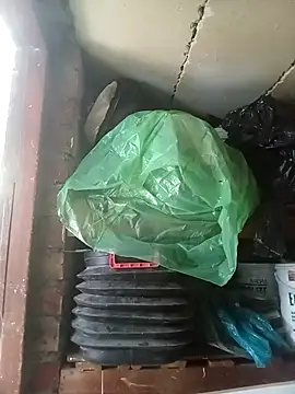 dicklife3485 online show from 14, 4, 2026