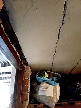 dicklife3485 online show from 6, 3, 2026