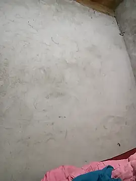 Nga x9 online show from 8, 3, 2026