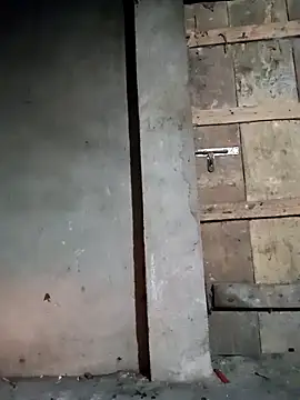 Nga x9 online show from 5, 3, 2026