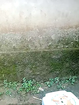 out-lustt online show from 20, 4, 2026