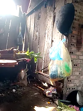 out-lustt online show from 27, 3, 2026