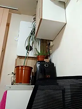 AdaJoy online show from 17, 3, 2026