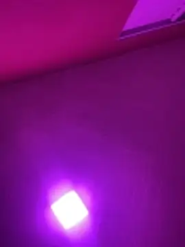 MorenaCariok online show from 17, 2, 2026