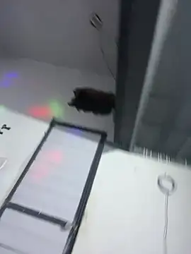 MorenaCariok online show from 3, 4, 2026