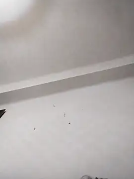 anastasiadaniela online show from 12, 2, 2026