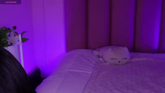 Dolcexx  online show from 12, 2, 2026