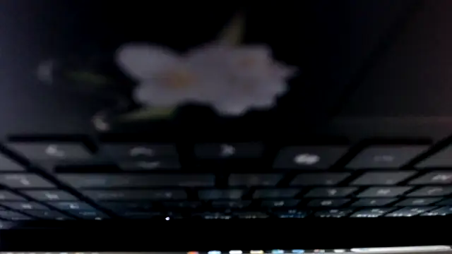Snapshot of allymoon1369 chatting on 22, 6, 2026 allymoon1369 online show from 22, 6, 2026