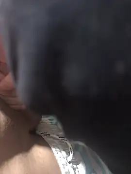 casalnovinho18z online show from 19, 1, 2026