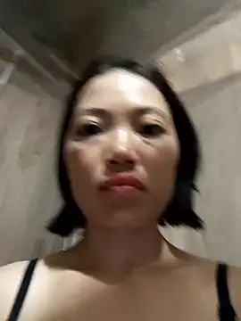 kotaka-shoow online show from 21, 4, 2026