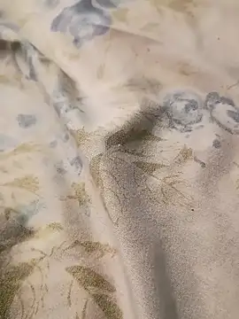 Ale252001 online show from 15, 1, 2026