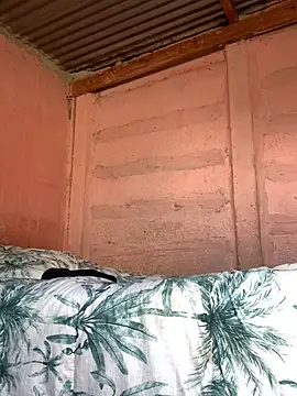 taitaimont online show from 13, 2, 2026