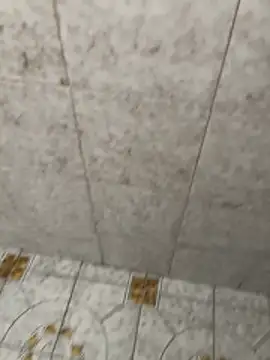 Snapshot of Kalisto2026 chatting on 6, 3, 2026 Kalisto2026 online show from 6, 3, 2026