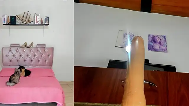 harper funny online show from 20, 4, 2026