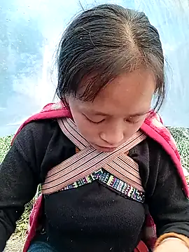 Hari-saka online show from 27, 2, 2026