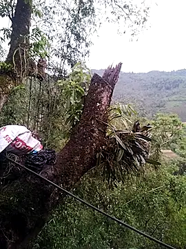 lia-coy online show from 19, 4, 2026