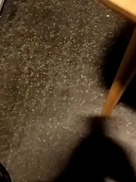 testmailx75 online show from 27, 2, 2026