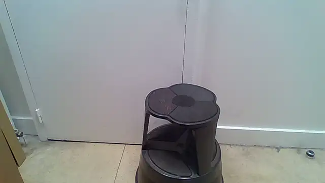 testmailx75 online show from 31, 3, 2026