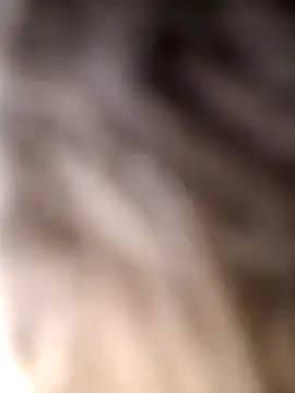 japosamel online show from 6, 4, 2026