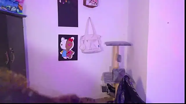 Wendy Mills  online show from 20, 2, 2026