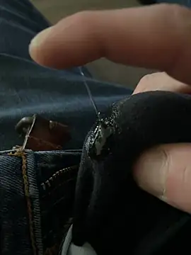 grossebite3859 online show from 17, 1, 2026