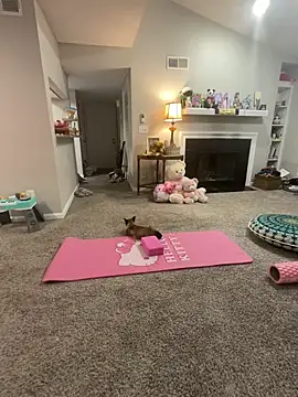 Pink mink21 online show from 3, 2, 2026