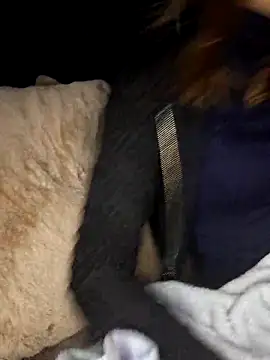 dewimp1 online show from 18, 4, 2026