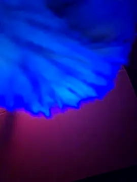 dewimp1 online show from 6, 2, 2026