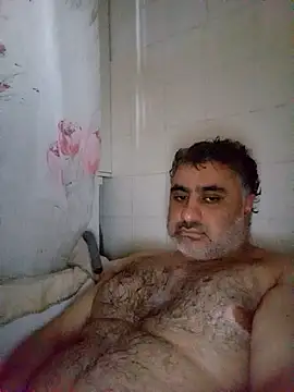 Bear 1985 online show from 7, 3, 2026