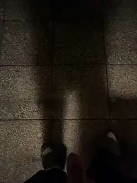 InkedGuy1 online show from 12, 3, 2026