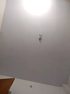 maisamim2 online show from 6, 3, 2026