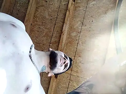 Caliente777666 online show from 18, 4, 2026