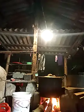 Nuna 689 online show from 14, 4, 2026