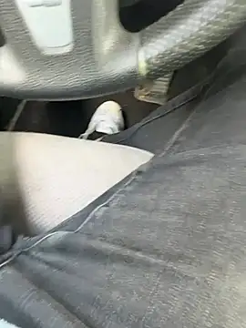 tony3729 online show from 19, 4, 2026